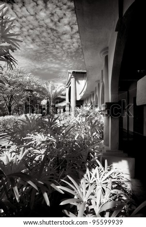 black and white infrared photo B&W