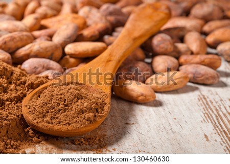 cacao beans and cacao powder in spoon over wooden background