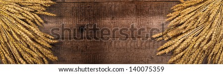 wheat on the wood background. banner