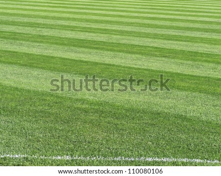 Sport abstract: Outfield in major league baseball stadium, with foul line chalked in foreground
