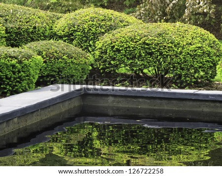 Green reflections in springtime: Trimmed hedges growing by ledge of reflecting pond in formal garden