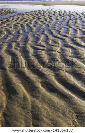 Beach abstract: After the tide has plowed the sand
