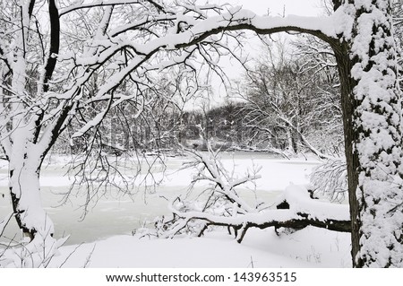 Winter at a glance: River with snow and ice framed by trees in foreground after a blizzard early in March, Oak Brook, Illinois