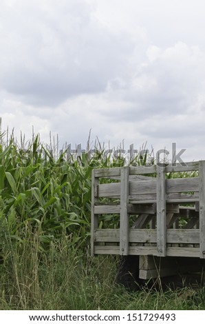 Readiness on the farm: Rear of empty wooden trailer parked beside field of corn yet to be harvested, August in northern Illinois (copy space in cloudy sky)