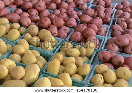 Two cultivars of potatoes grown in northern Illinois on display at farmers\' market