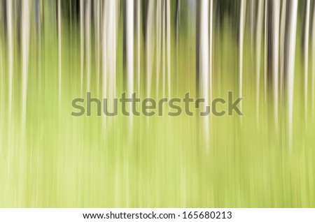 Abstract of pine trees: Painterly in-camera motion blur of a stand of pines seeming to rise from mist of green forest, autumn in northern Illinois, USA