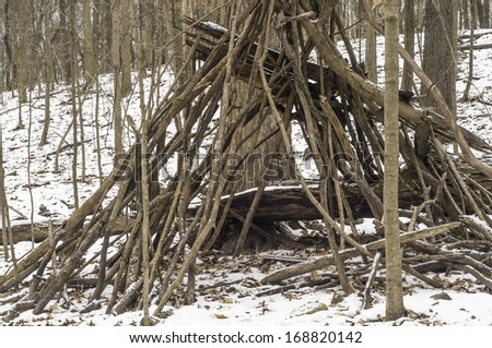 Fuel for bonfire hearts: Collection of branches (perhaps the start of a crude shelter)  in winter woods, northern Illinois