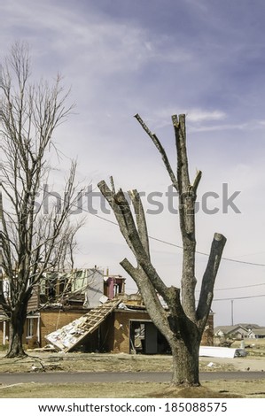 WASHINGTON, ILLINOIS, USA - MARCH 31, 2014: A dying tree stands near a house with walls and roof torn off by a tornado on November 17, 2013 that devastated entire neighborhoods in the area.
