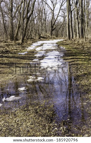 Turning point in spring: Woodland path with melting snow and reflective puddles on a sunny morning early in March, northern Illinois, USA