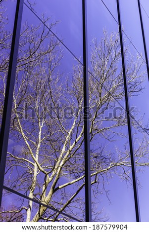 Campus reflection of natural growth: Windows of academic building reflect a tall, budding tree on campus of a state university in spring, with interior fluorescent lights visible but muted