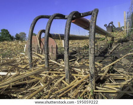Four-tine cultivator, hoe, and watering cans in community garden on a sunny afternoon in northern Illinois, USA, in spring (for concepts of sustainability, self-reliance, and do-it-yourself lifestyle)
