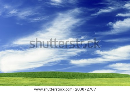 Blue sky with cirrus clouds over light green wheat fields in the Pacific Northwest