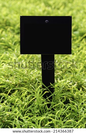 Add your text: Blank sign surrounded by alternanthera (binomial name: Alternanthera ficoidea 'Gold Threads') in summer garden (shallow depth of field)