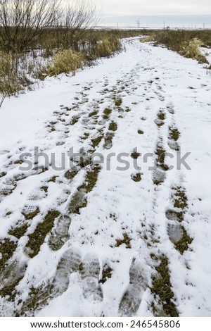 Prairie landscape in winter: Many bootprints in snow along grassy path in the direction of turbines on a wind farm on the horizon, northern Illinois in January