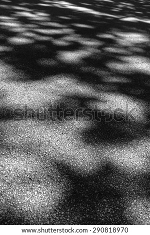 Abstract of constant change: Dappled one-way asphalt road through woods in summer (black and white)