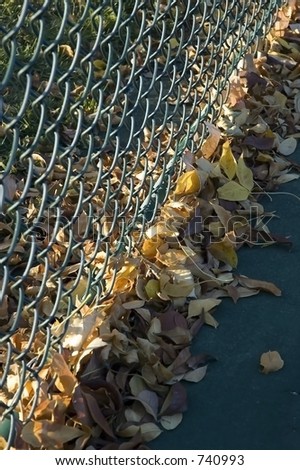 Leaves blown against fence on tennis court