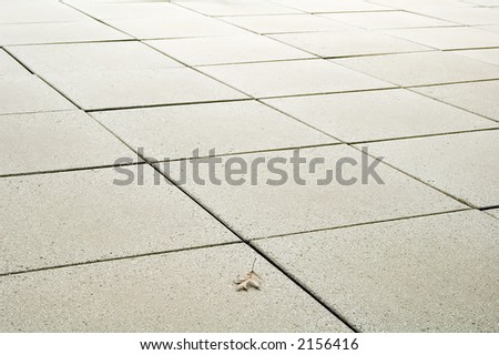 Oak leaf on patio of concrete squares