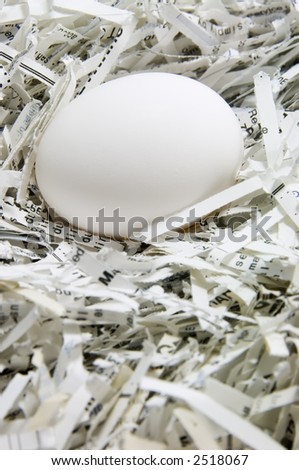 Egg on shredded paper, as in a nest