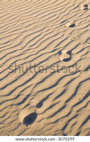 Four human footprints in rippled sand, all heading toward you, near sunset
