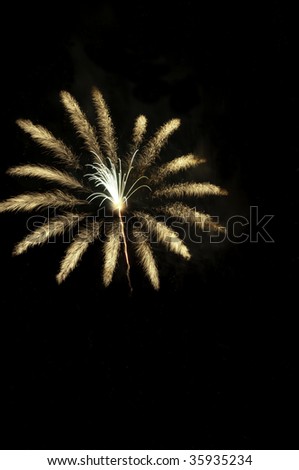 Fireworks burst like a hairy tarantula, off center with copy space