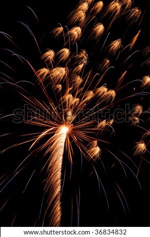 Motion blur makes burst of fireworks resemble prairie flowers above feathery rocket trail