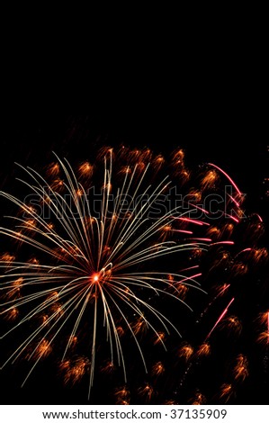 Spidery burst of reddish-orange fireworks amid many small bursts like prairie flowers