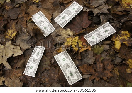 Play money grown on trees: Five million-dollar bills on top of fallen autumn leaves
