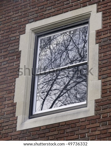 Reflection of trees in two-paned window of old brick building in springtime