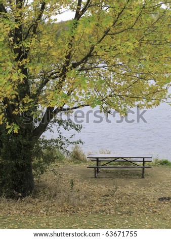 Picnics are done for the year: Wet picnic table on shore of lake near oak tree losing its leaves in autumn