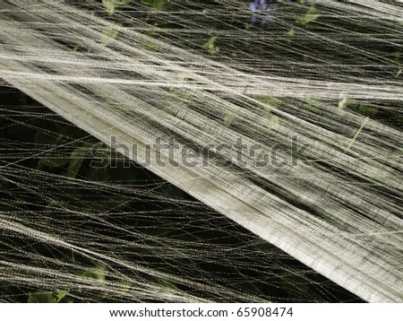 Abstract of artificial material -- close-up of large web for Halloween theme walk in woods