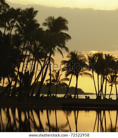 Hawaiian scenic: silhouettes of beachgoers under palm trees, waiting for sunset, at Anaehoomalu Bay on the Kona Coast of the Big Island