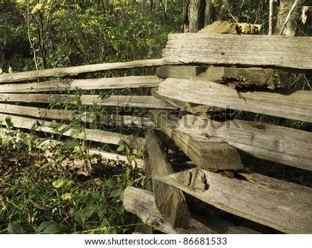 Split rail fence in woods