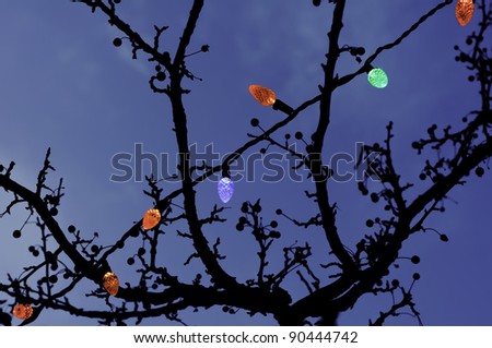 Electric holiday twilight: A string of Christmas lights strung across tree in silhouette