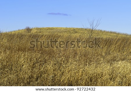 Prairie landscape in winter: Hill above dormant tallgrass and other wild plants at Danada Forest Preserve, Wheaton, Illinois, USA, on a January day without snow