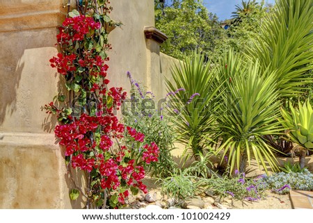 Tropical desert landscape with red flowers and yellow wall.