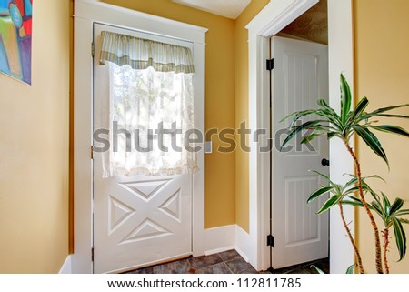 Hallway with two white doors and yellow walls with plant.