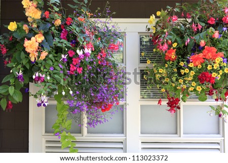 Flowers in hanging baskets with white window and brown wall.
