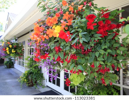 Flowers in hanging basket with white window and brown wall.
