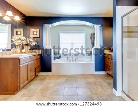 Dark Blue Classic Elegant Bathroom Interior With Columns.