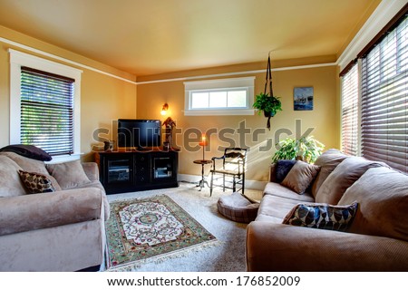 Cozy living room with carpet floor, rustic rug. Furnished with soft couches, antique wooden chair and black cabinet with tv. Decorate with hanging planter.