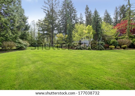 Amazing Farm House Backyard With Green Lawn, Fir Trees, Bushes