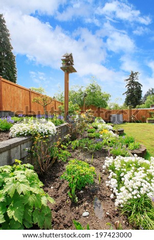 Fenced backyard with lawn, terrace flower beds. Close up view of flower bed