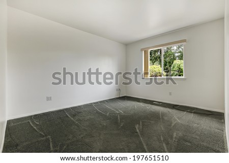 Simple room with olive carpet floor and one window