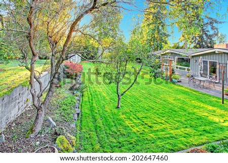 House exterior. View of backyard garden with trees and bushes
