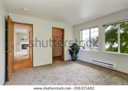 White  empty room with brown carpet floor. Room decorated with palm tree
