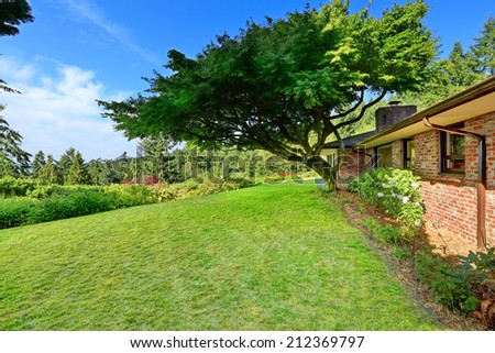 Backyard landscape with maple tree. Unique modern old home build in 1952.