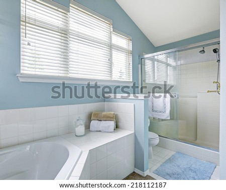 Refreshing bathroom interior with vaulted ceiling, glass door shower and white bath tub with tile trim