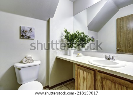Bathroom corner with vaulted ceiling and wooden cabinet decorated with plant and mirror