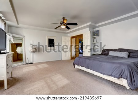 Spacious master bedroom with large bed and antique mirror