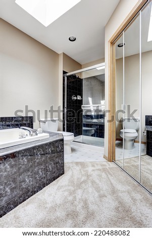 Bright bathroom interior with carpet floor, white bath tub with black granite tile trim. Shower with glass door and large mirror door
